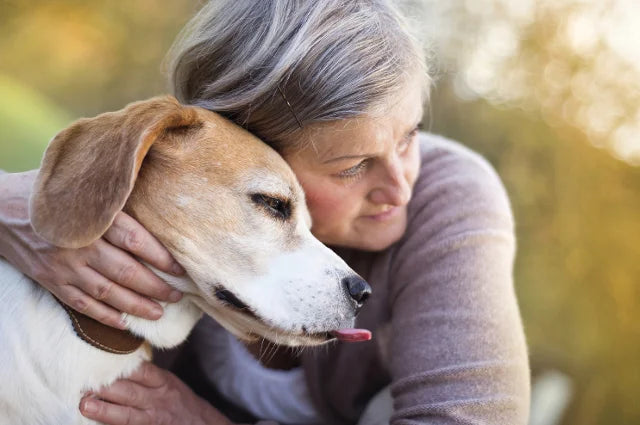 The Science-Backed Benefits of Dog Ownership