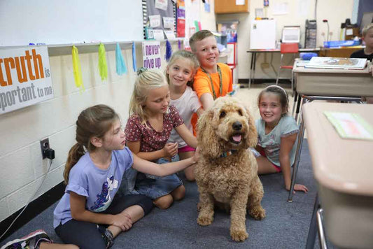From Trash to Treasure: Abandoned Puppy Becomes Beloved School Therapy Dog