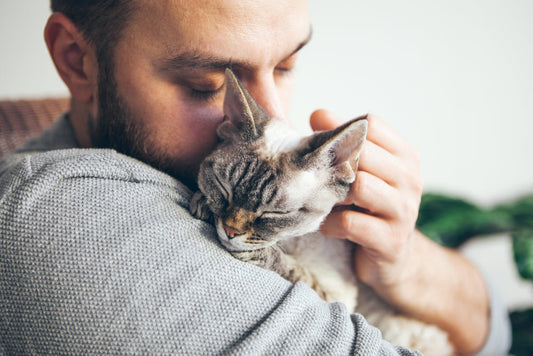 Why Owning a Cat is the Best Life Hack You Never Knew You Needed