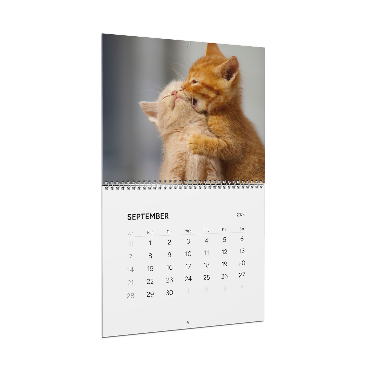 Fluffy Cats - Calendar 2025