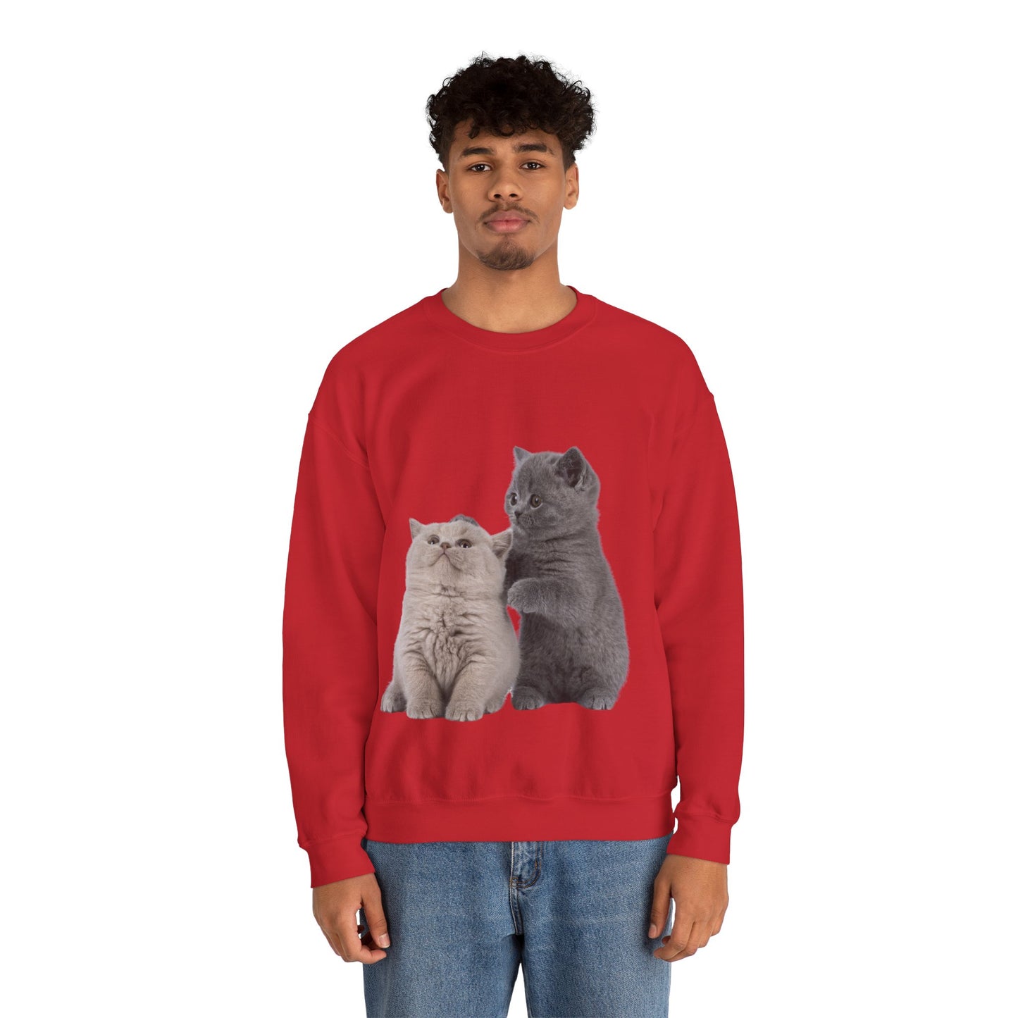 Fluffy Kittens - Unisex Crewneck Sweatshirt