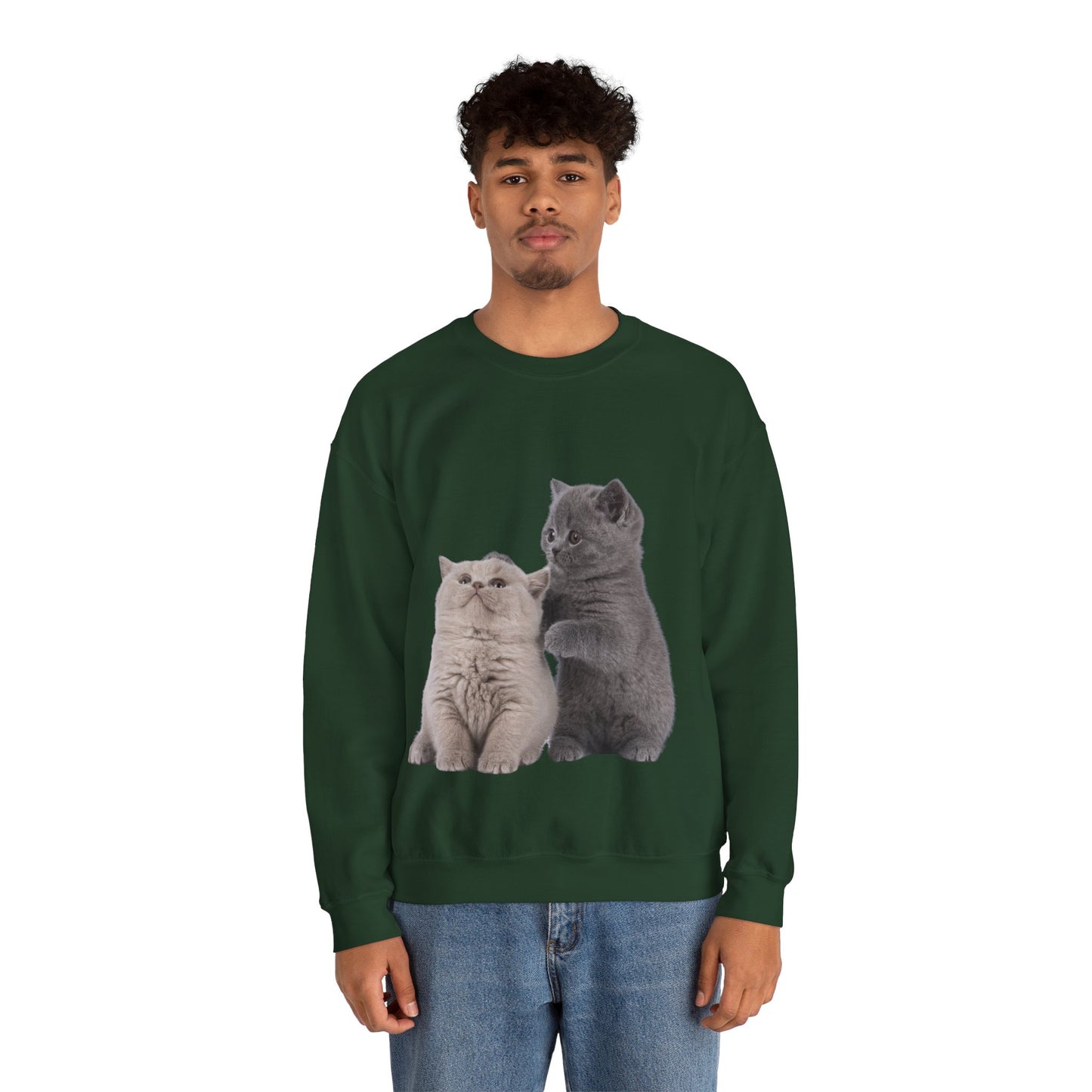 Fluffy Kittens - Unisex Crewneck Sweatshirt