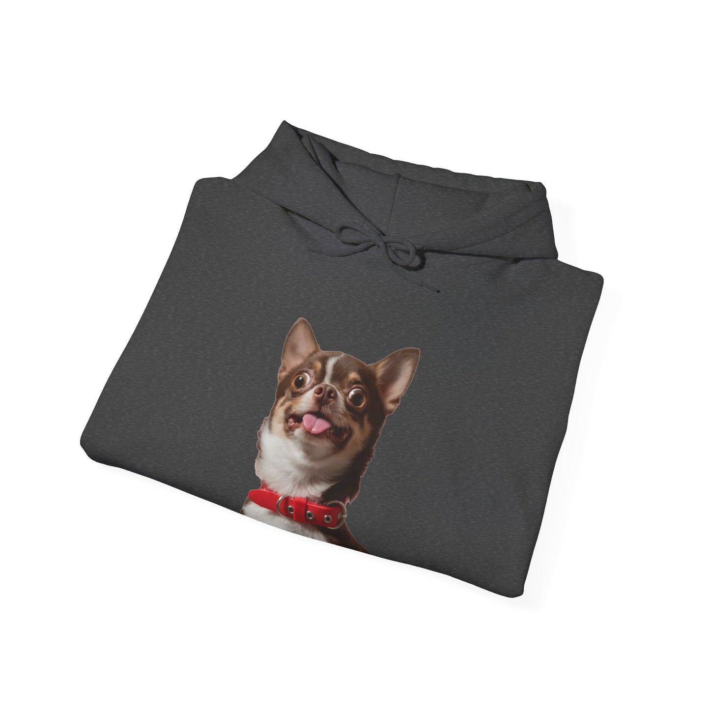 Crazy Chihuahua - Hooded Sweatshirt