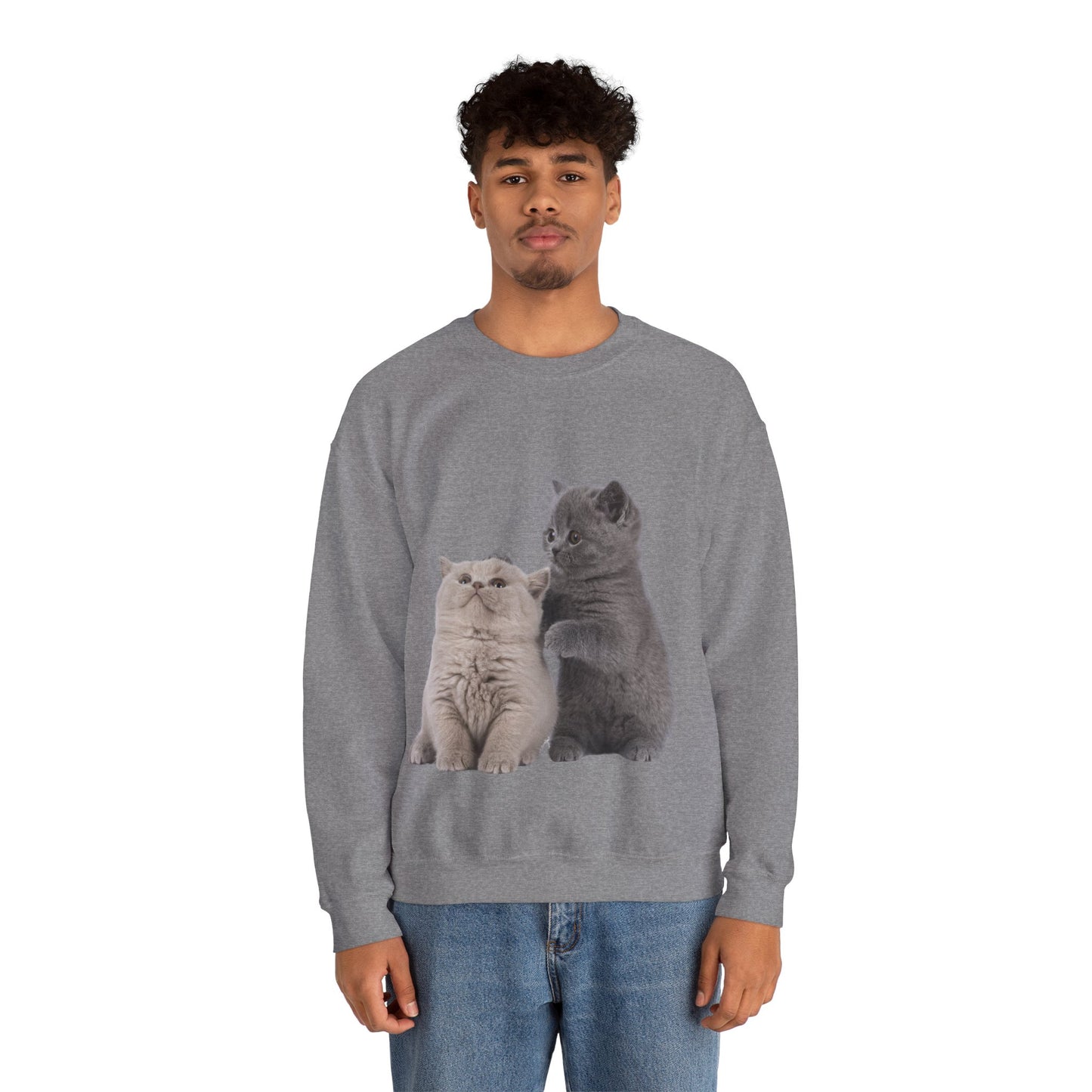 Fluffy Kittens - Unisex Crewneck Sweatshirt