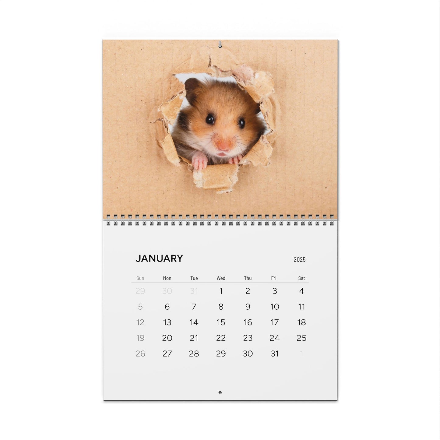 Pet Friends - Calendar 2025