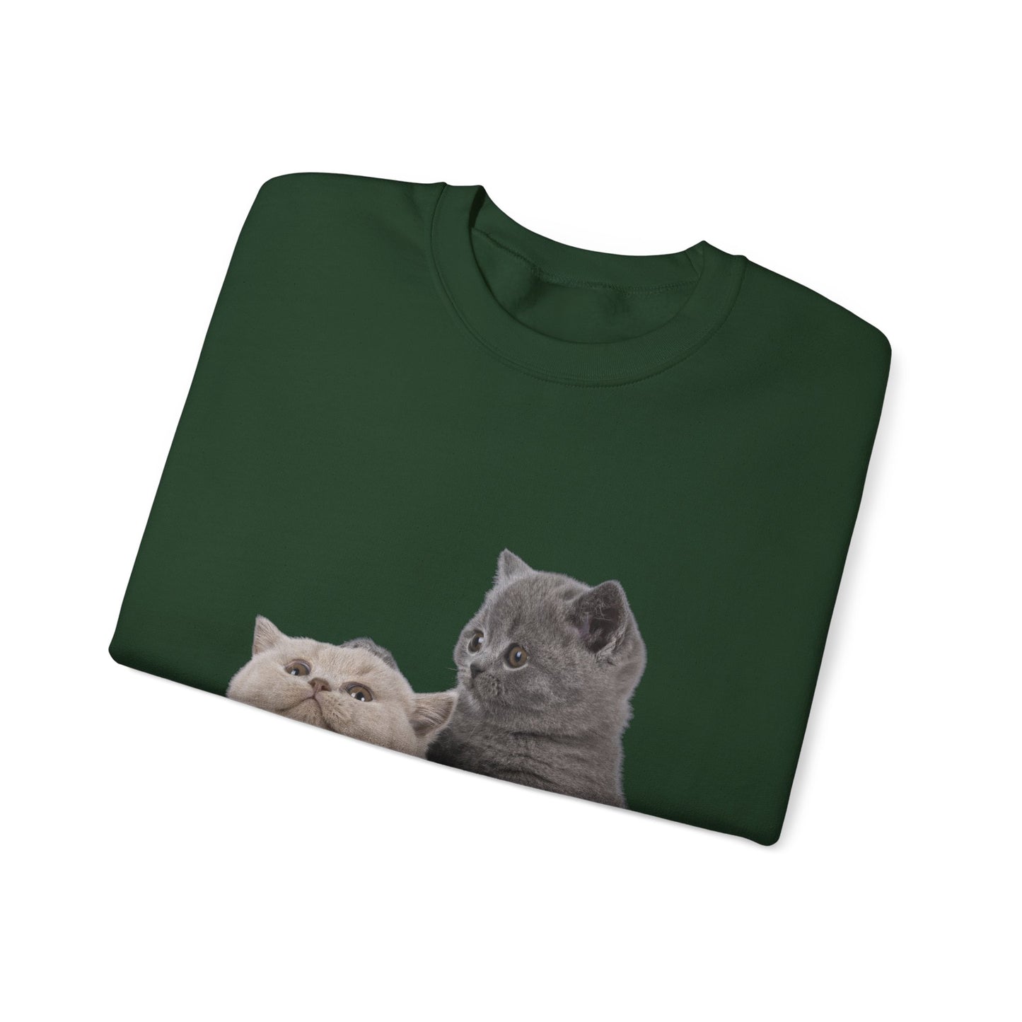 Fluffy Kittens - Unisex Crewneck Sweatshirt