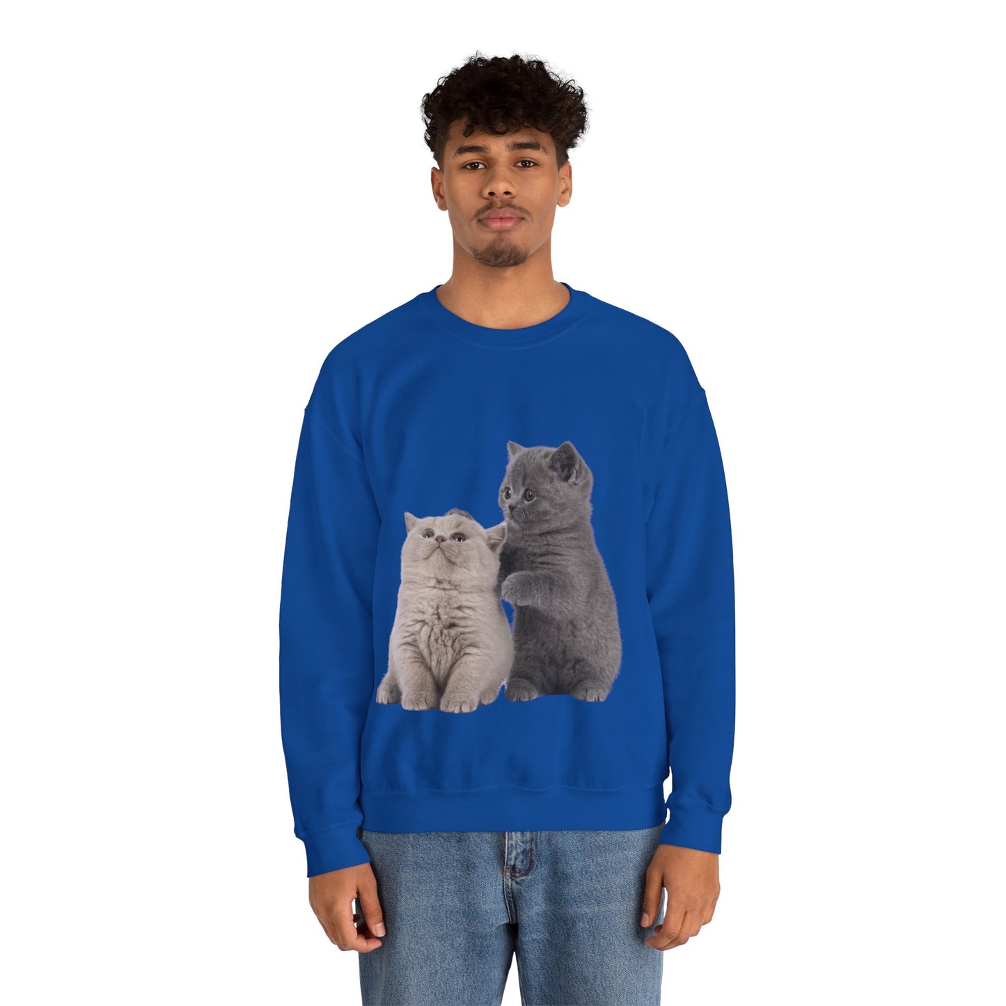 Fluffy Kittens - Unisex Crewneck Sweatshirt