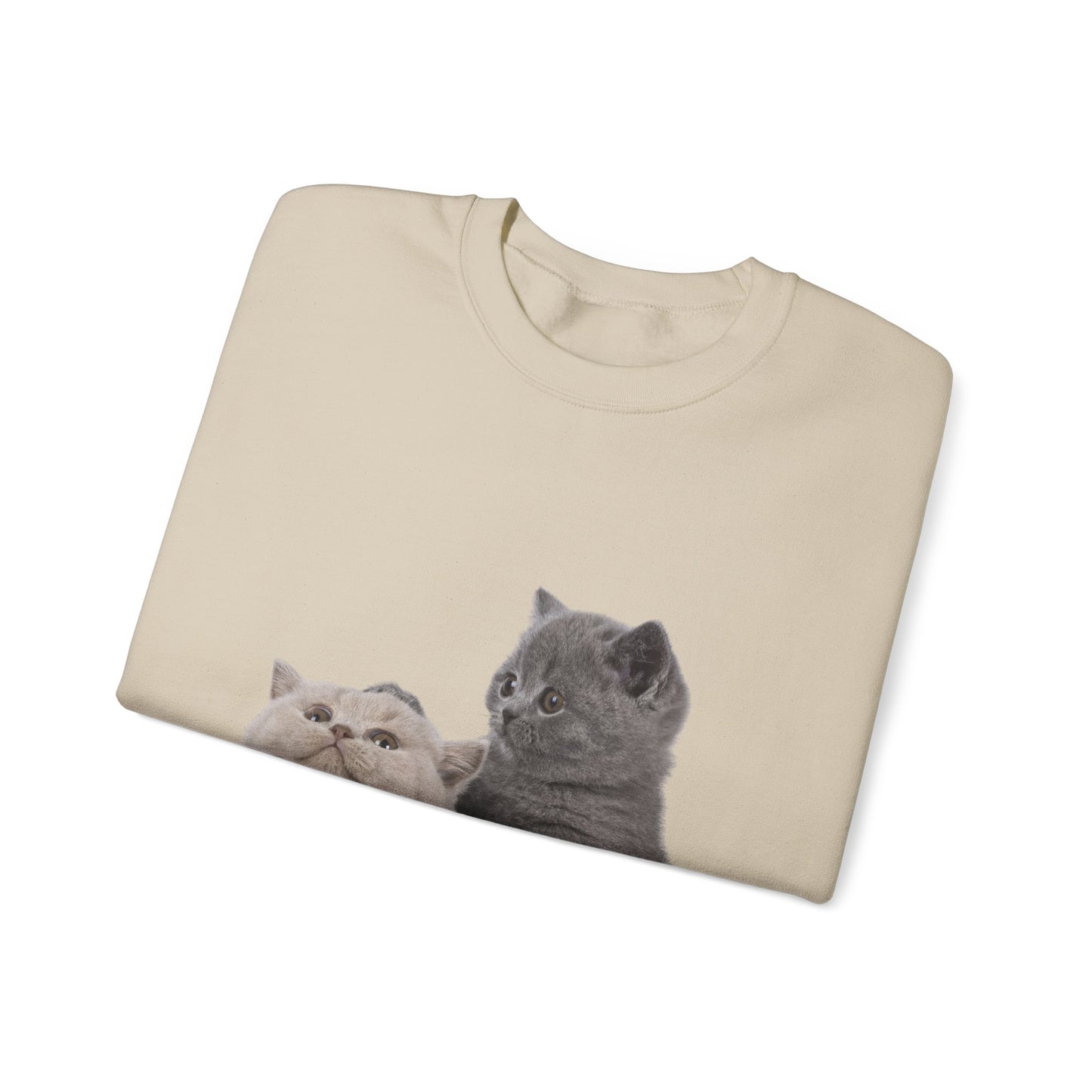 Fluffy Kittens - Unisex Crewneck Sweatshirt