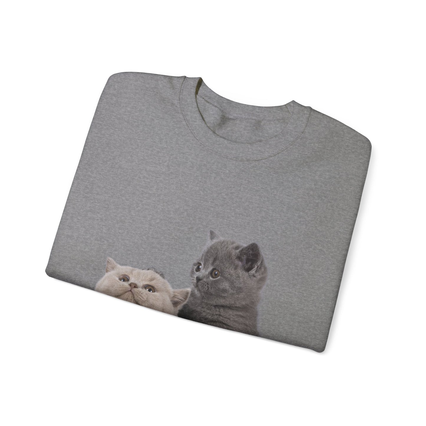 Fluffy Kittens - Unisex Crewneck Sweatshirt
