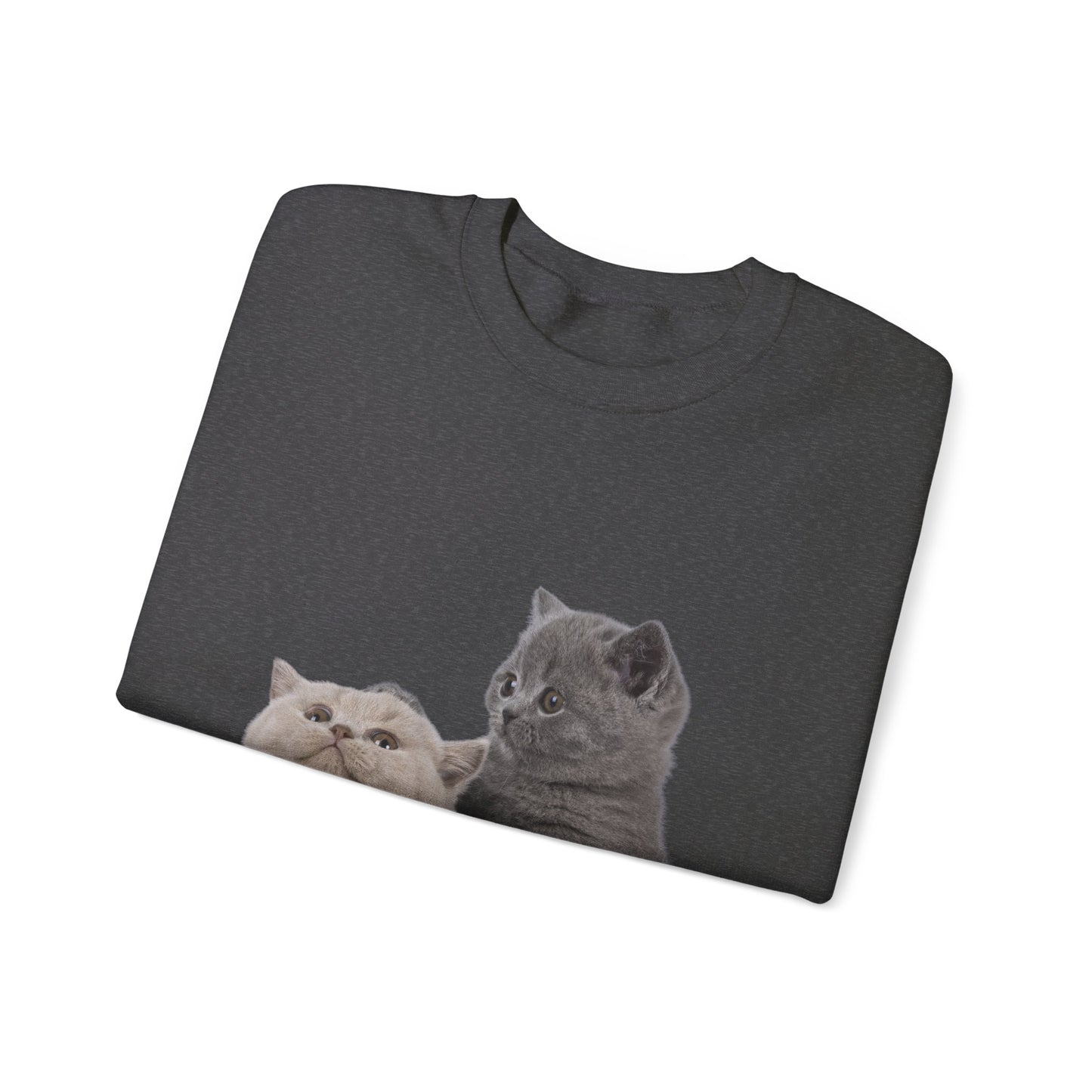 Fluffy Kittens - Unisex Crewneck Sweatshirt
