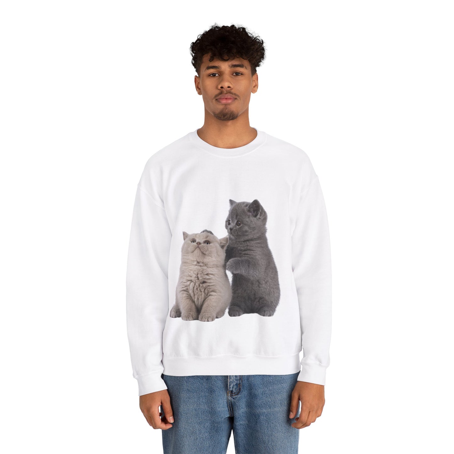 Fluffy Kittens - Unisex Crewneck Sweatshirt