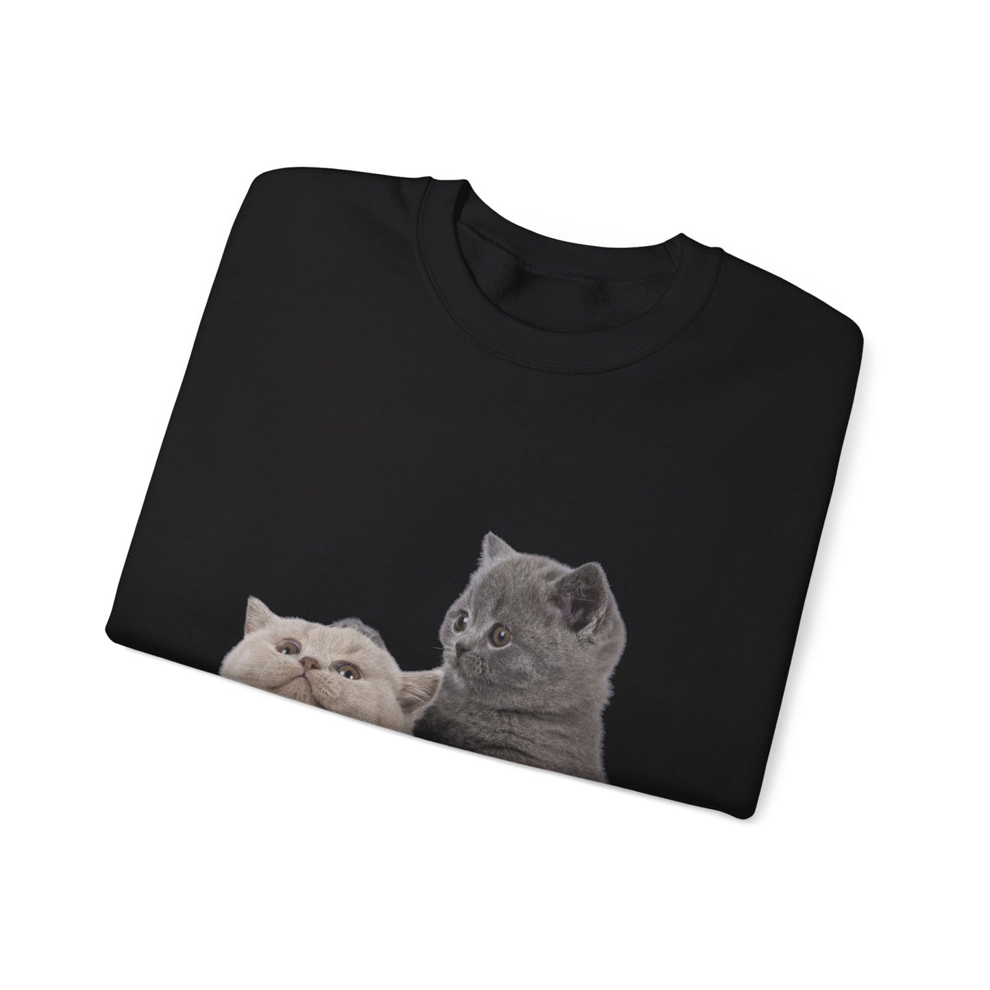 Fluffy Kittens - Unisex Crewneck Sweatshirt