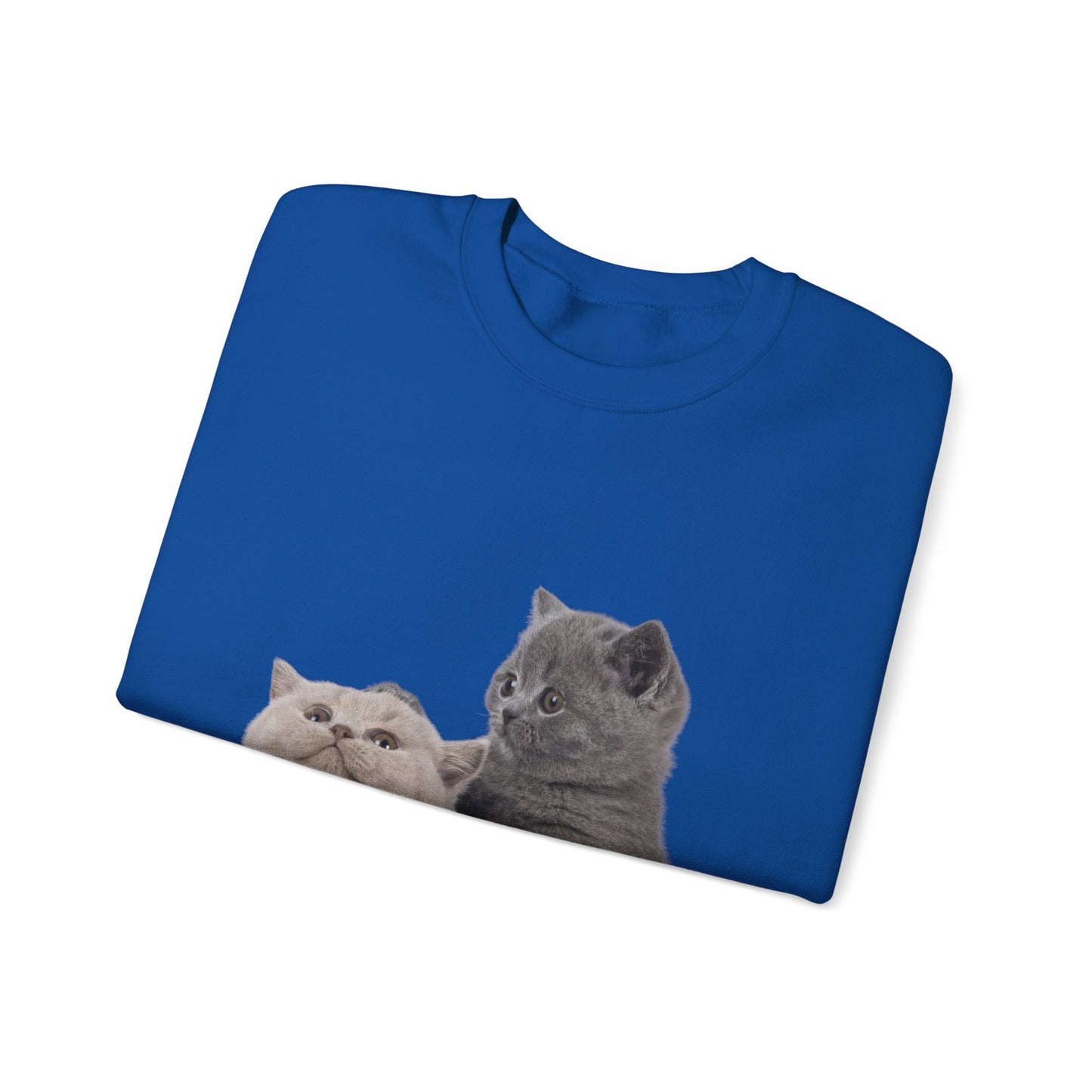 Fluffy Kittens - Unisex Crewneck Sweatshirt