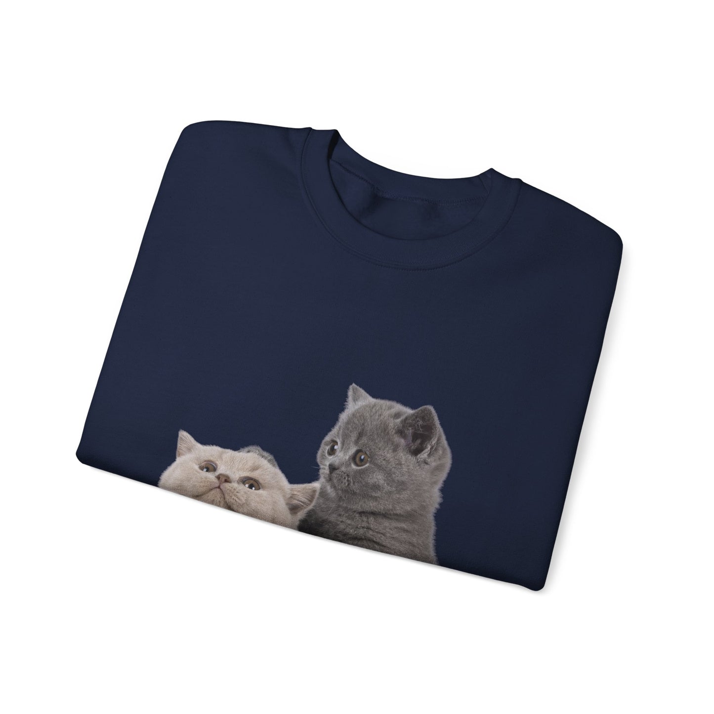 Fluffy Kittens - Unisex Crewneck Sweatshirt