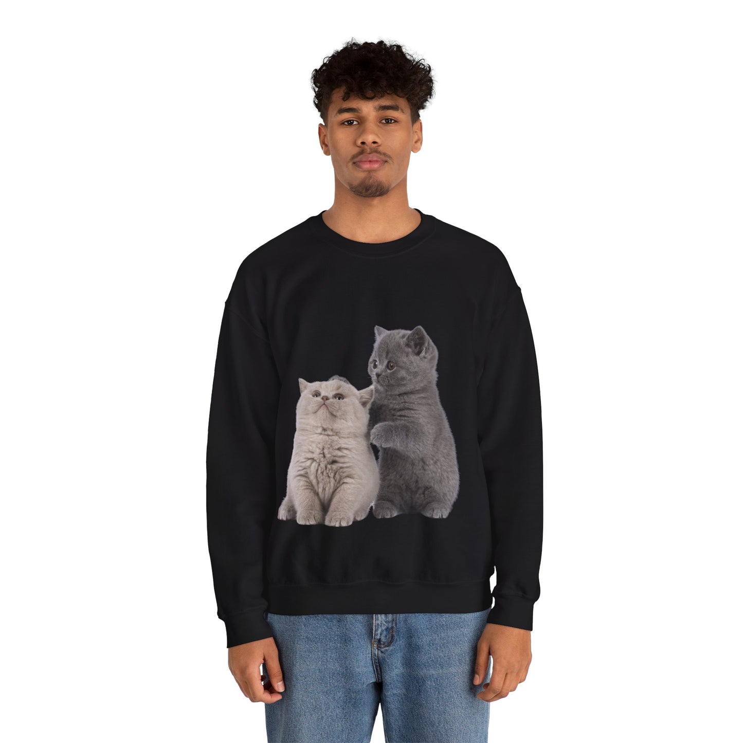 Fluffy Kittens - Unisex Crewneck Sweatshirt