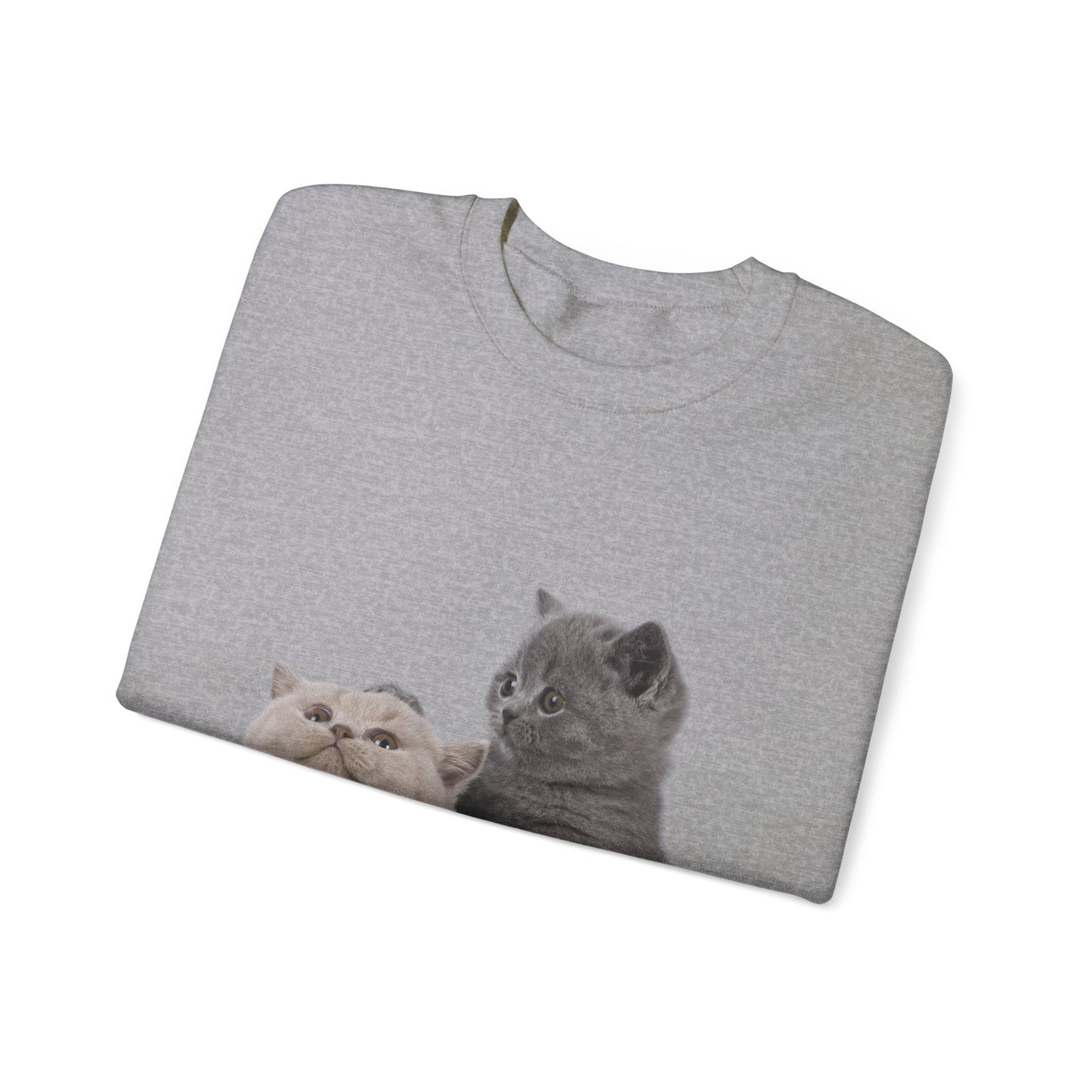 Fluffy Kittens - Unisex Crewneck Sweatshirt