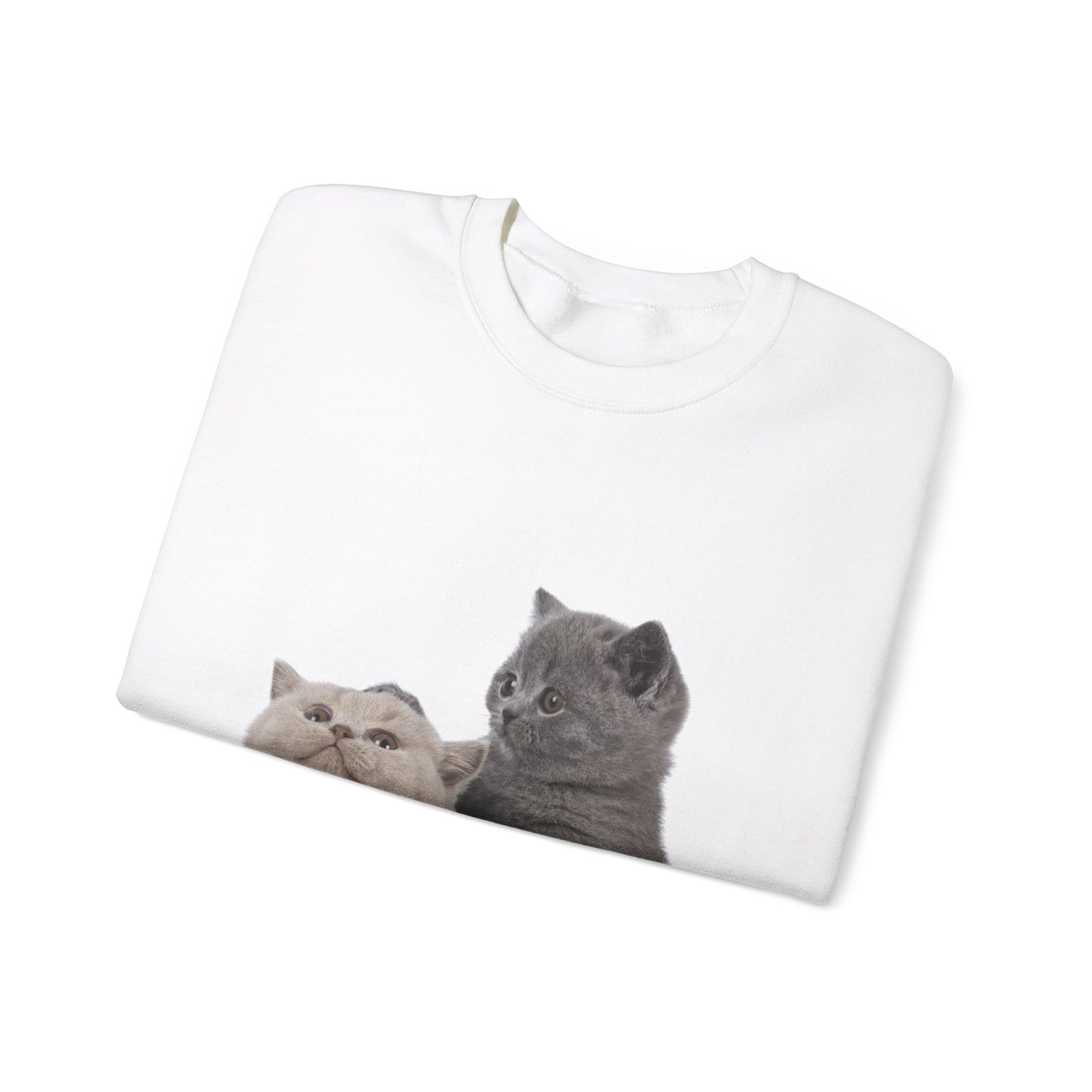 Fluffy Kittens - Unisex Crewneck Sweatshirt