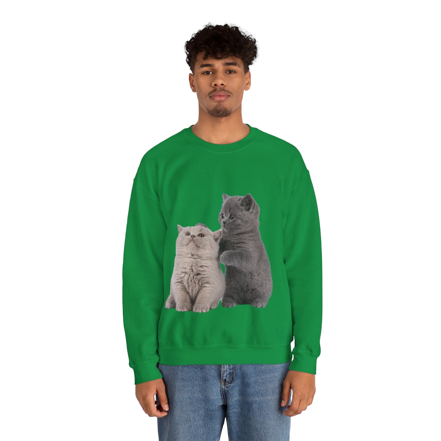 Fluffy Kittens - Unisex Crewneck Sweatshirt