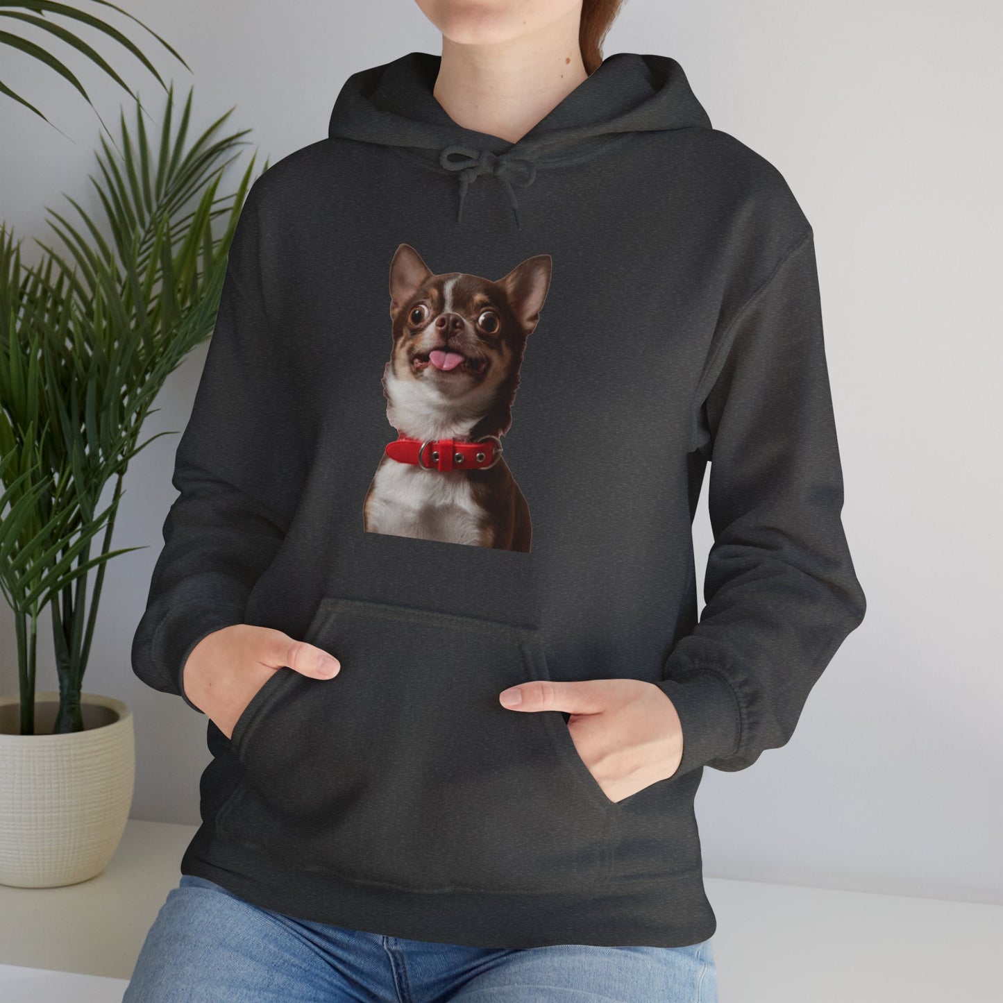Crazy Chihuahua - Hooded Sweatshirt