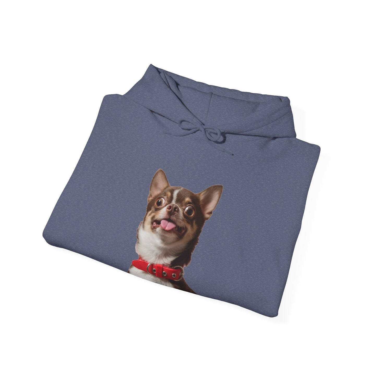 Crazy Chihuahua - Hooded Sweatshirt