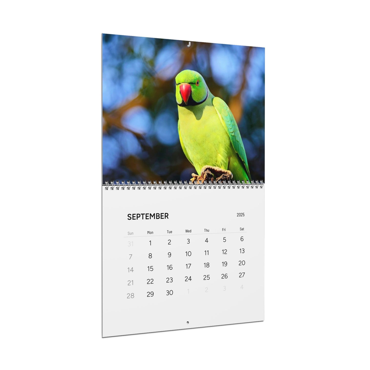 Pet Friends - Calendar 2025