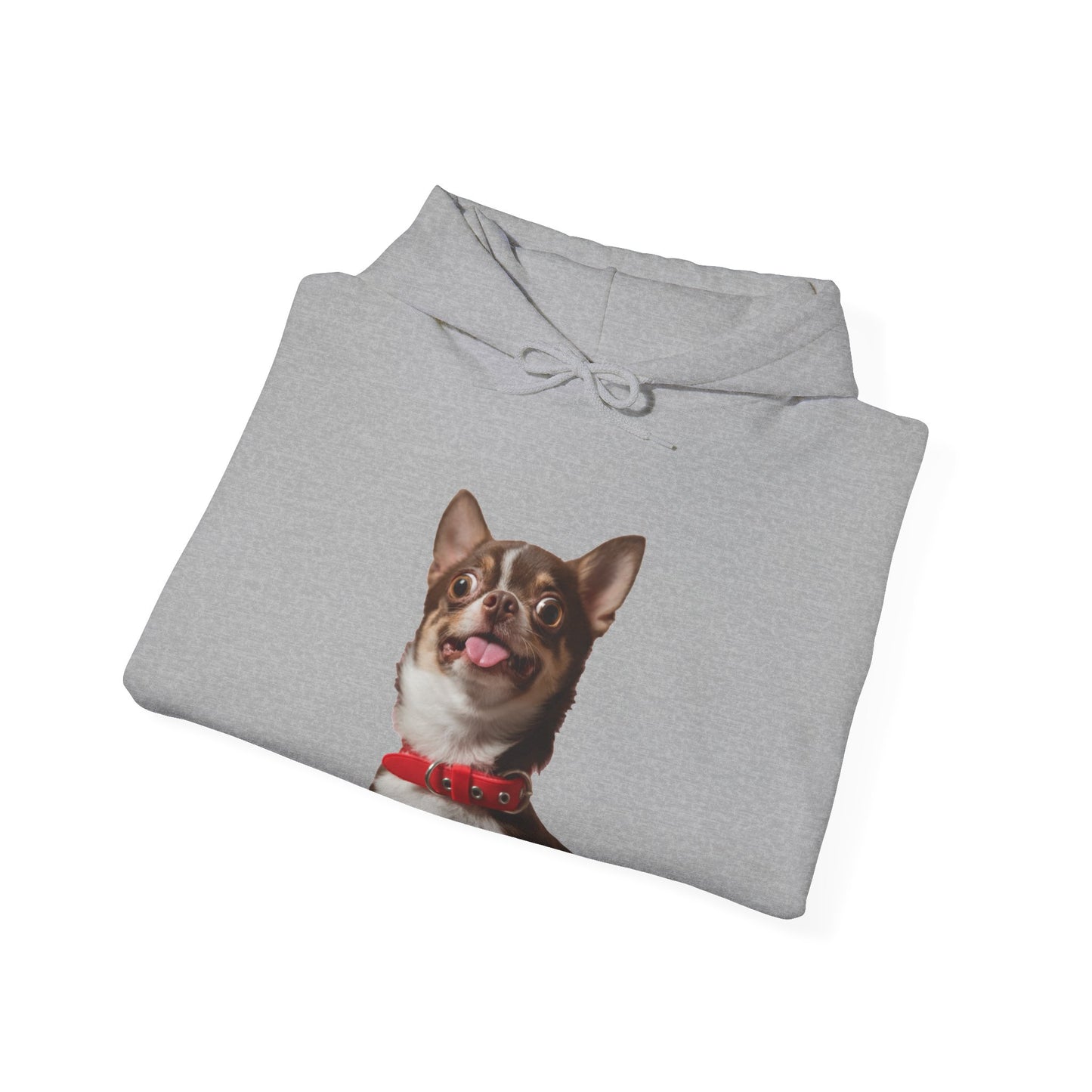 Crazy Chihuahua - Hooded Sweatshirt