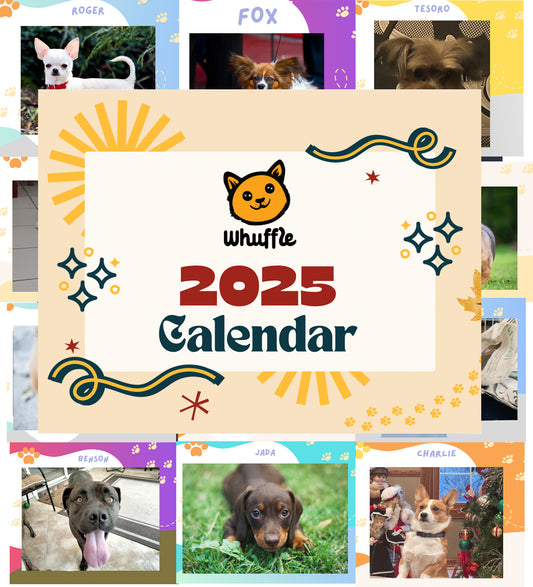 Custom Dog Calendar - 2025