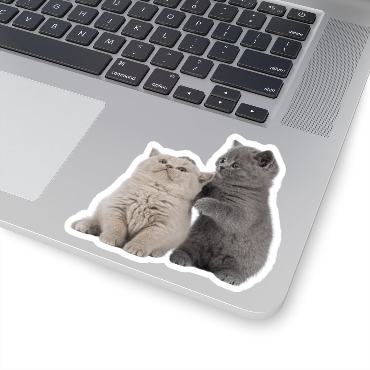 Fluffy Kittens - Kiss-Cut Stickers