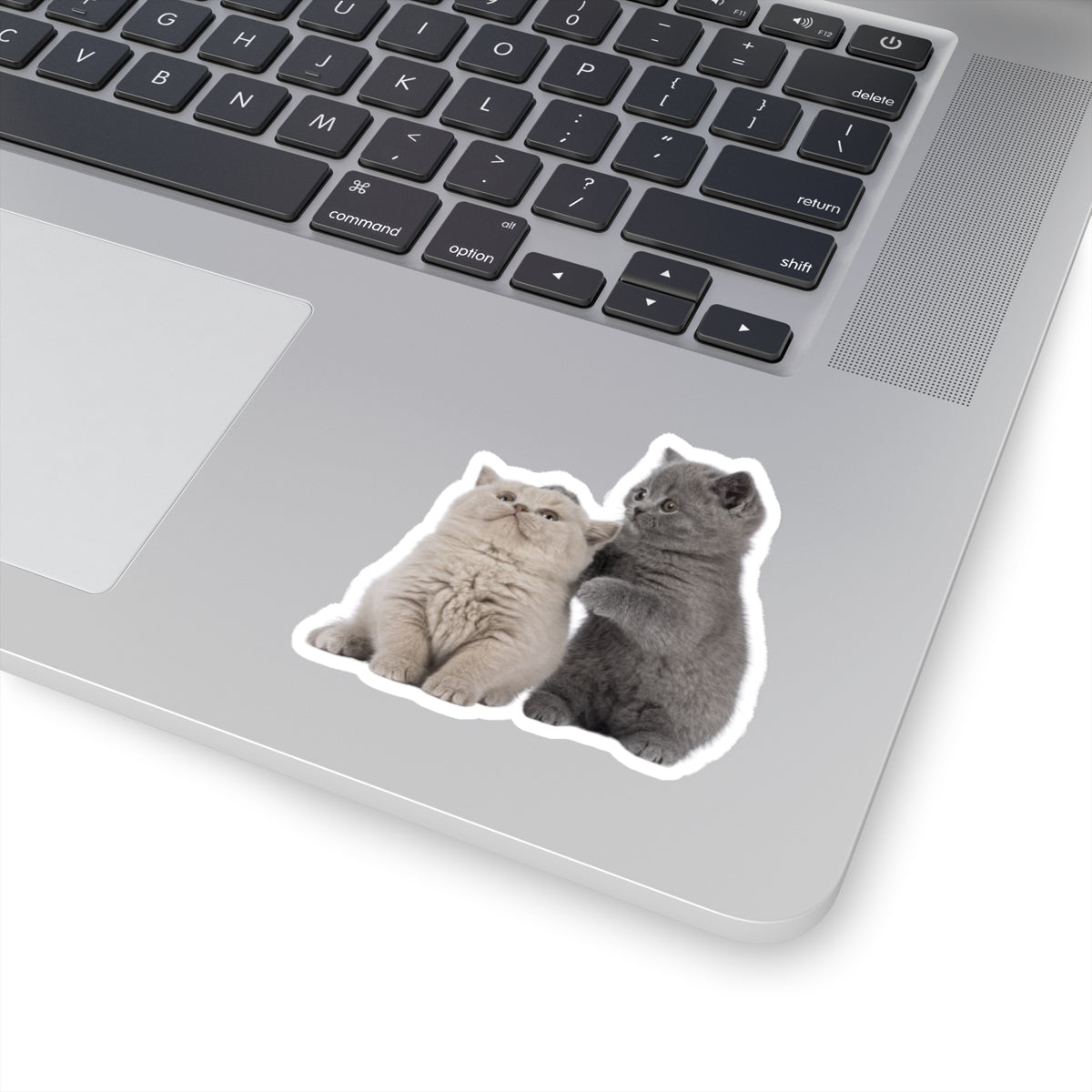 Fluffy Kittens - Kiss-Cut Stickers