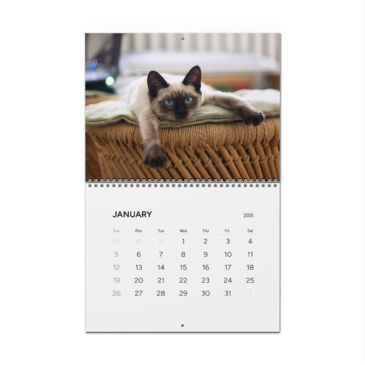 Fluffy Cats - Calendar 2025