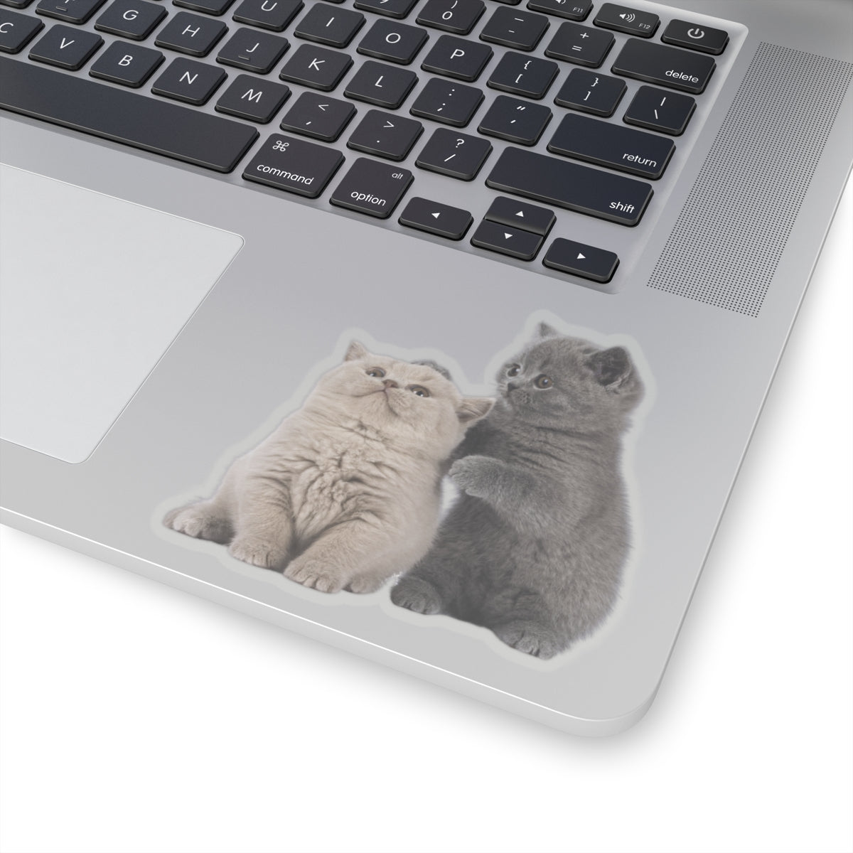 Fluffy Kittens - Kiss-Cut Stickers