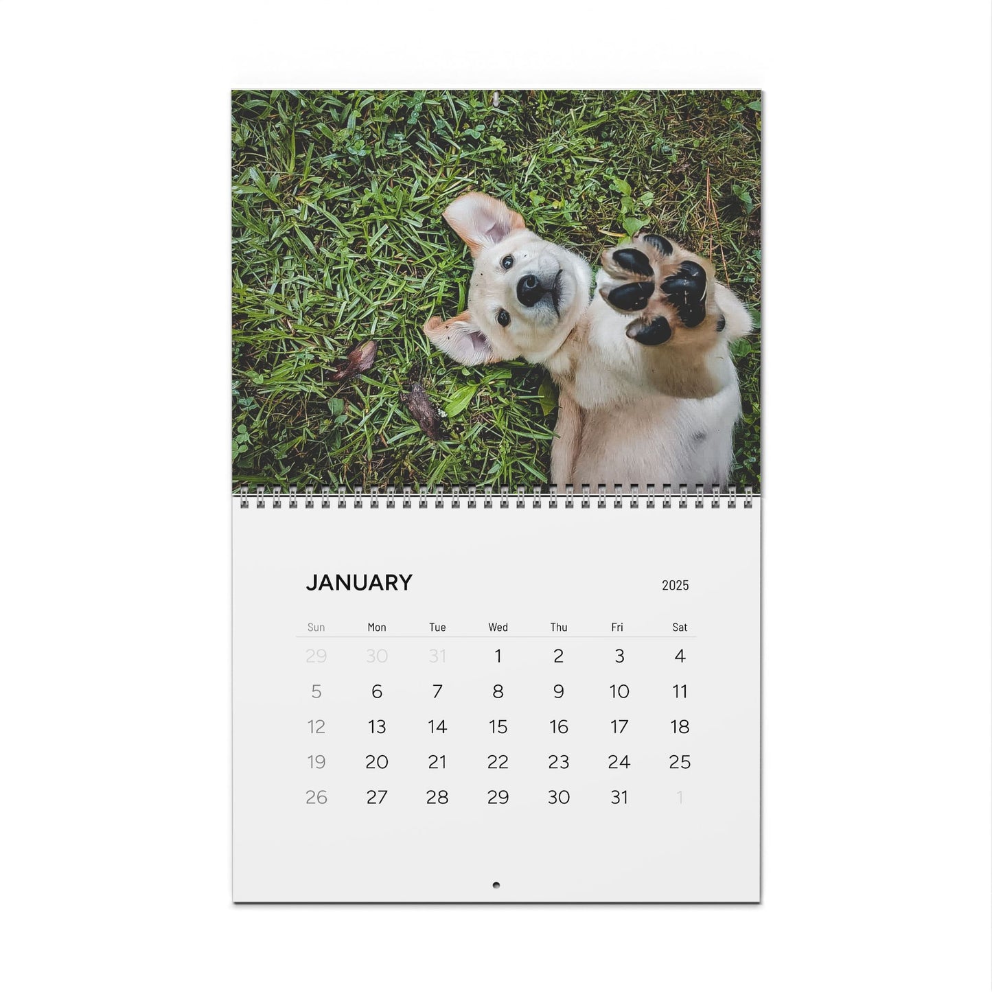 Adorable Pups - Calendar 2025