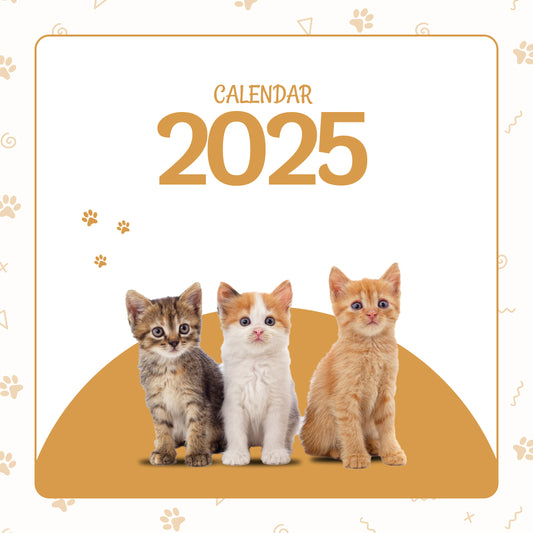 Custom Cat Calendar - 2025