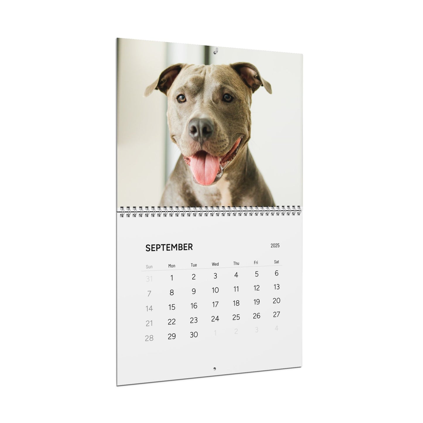 Adorable Pups - Calendar 2025