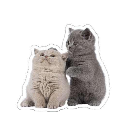 Fluffy Kittens - Kiss-Cut Stickers