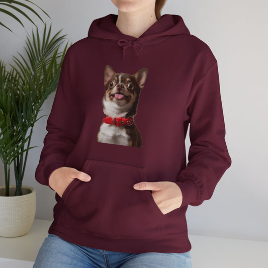 Crazy Chihuahua - Hooded Sweatshirt